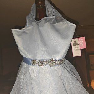 Rare editions size 14 little girl princess dress
